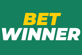 BetWinner Gambling Platform Your Gateway to Online Betting